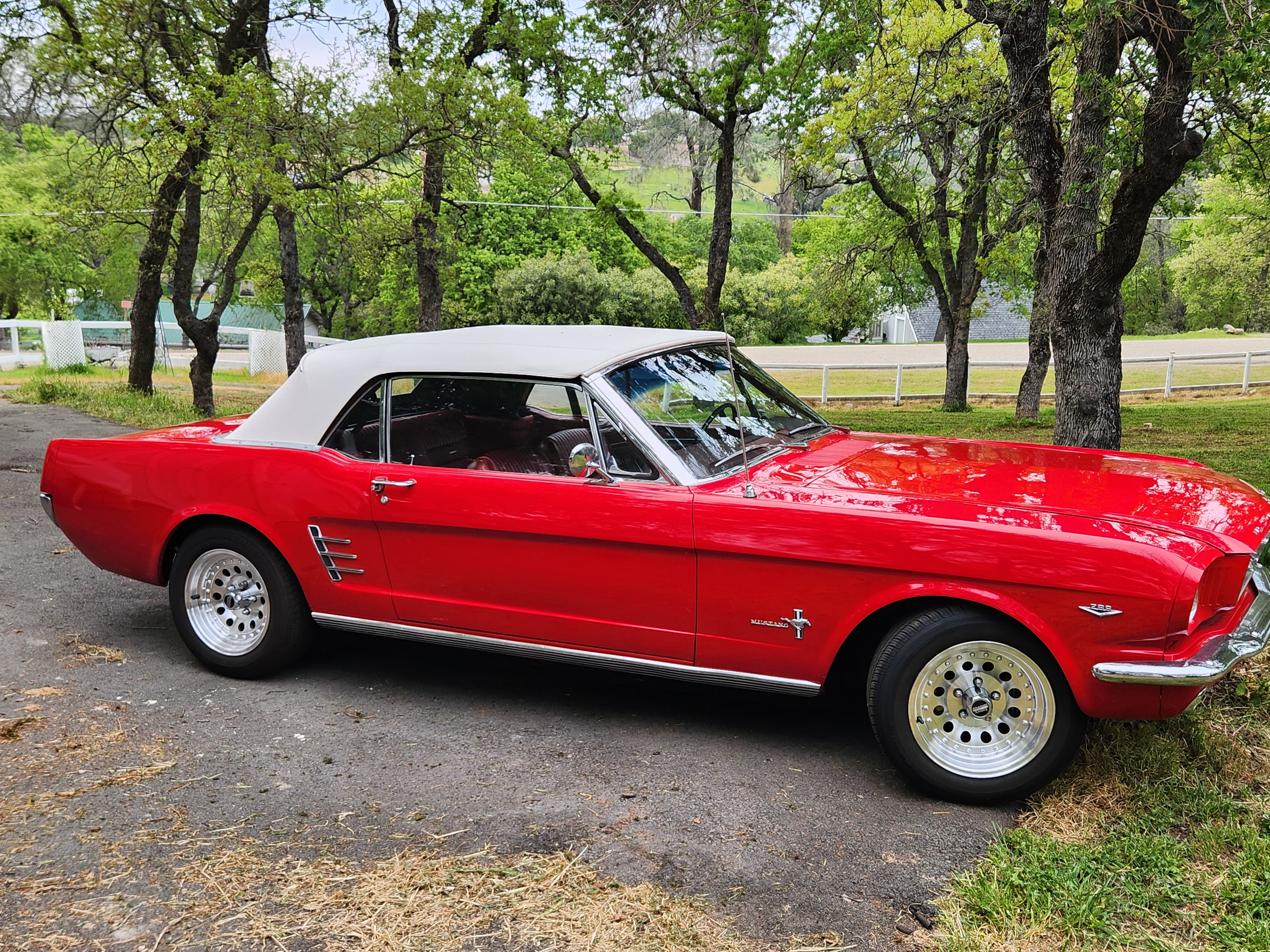 1966 Ford Mustang