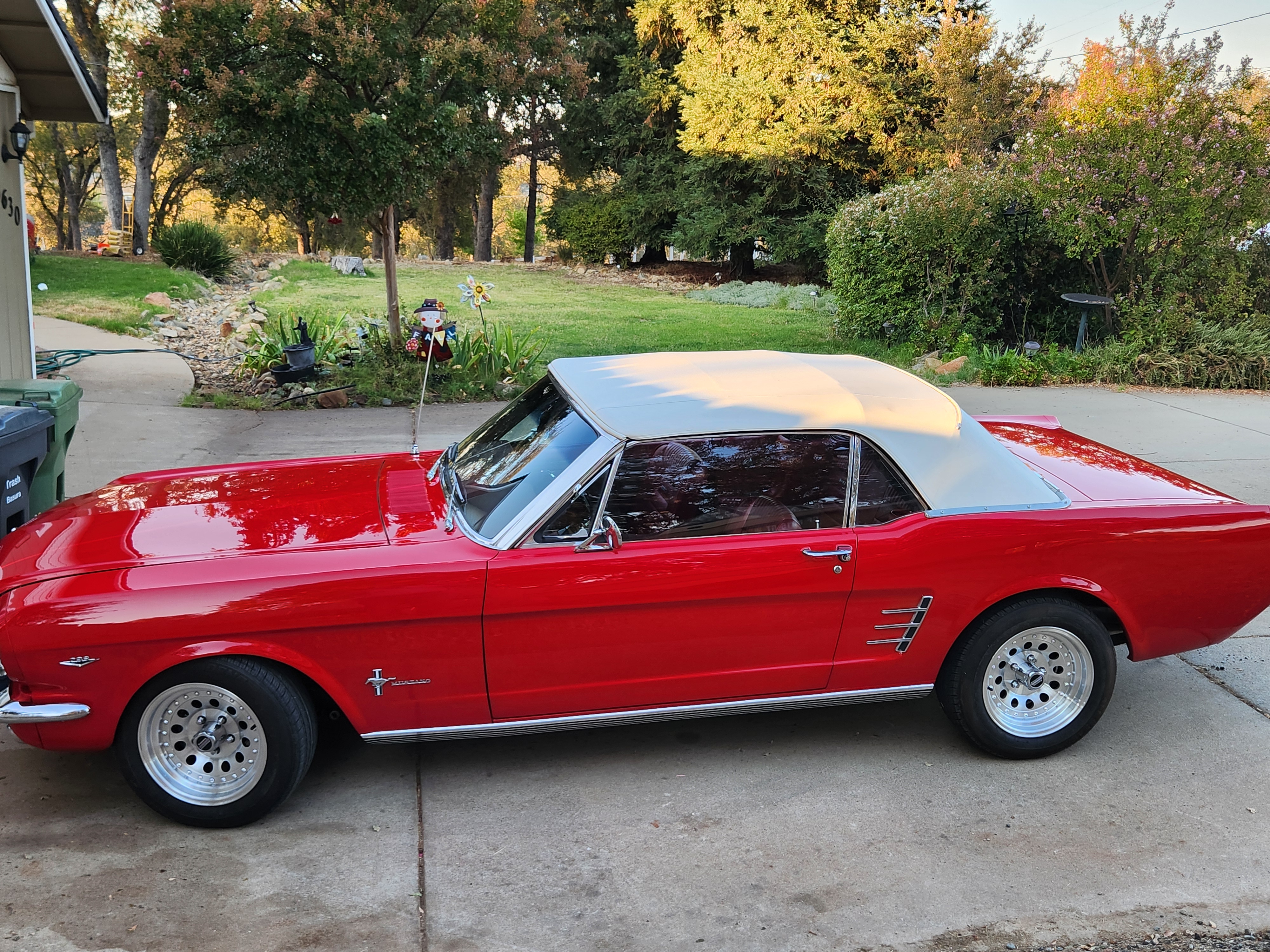 1966 Ford Mustang photo 3