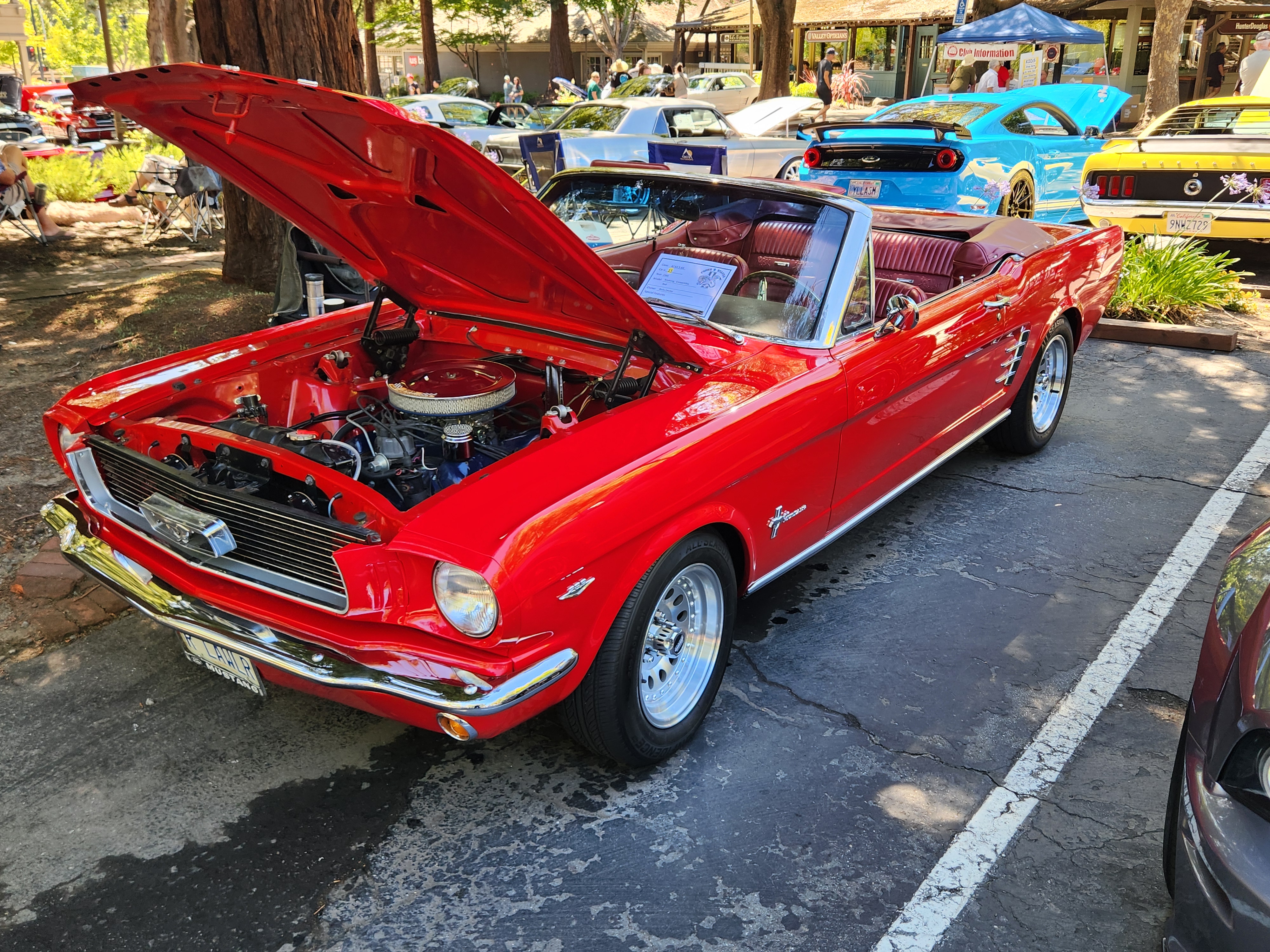 1966 Ford Mustang photo 4