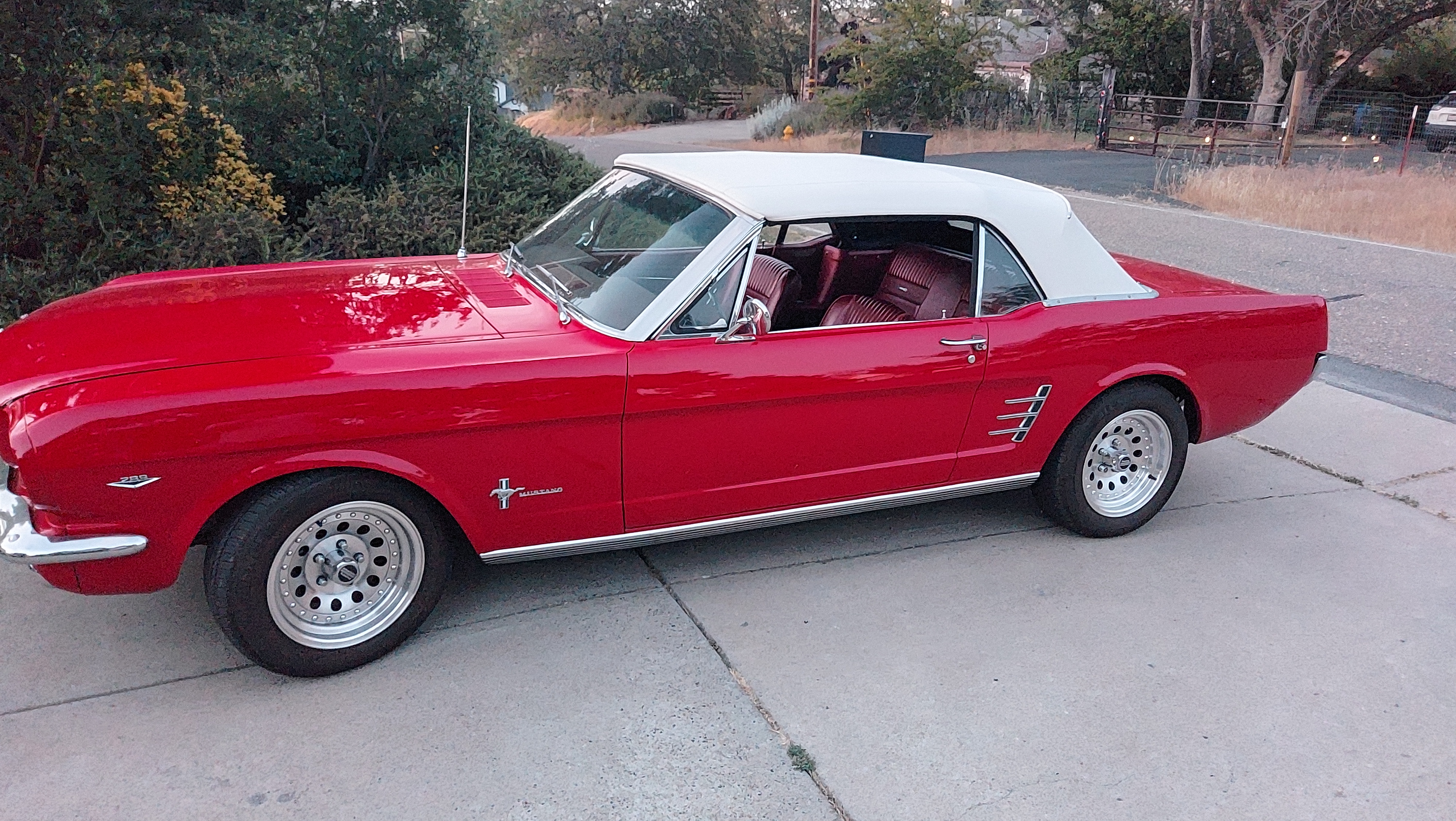 1966 Ford Mustang photo 6