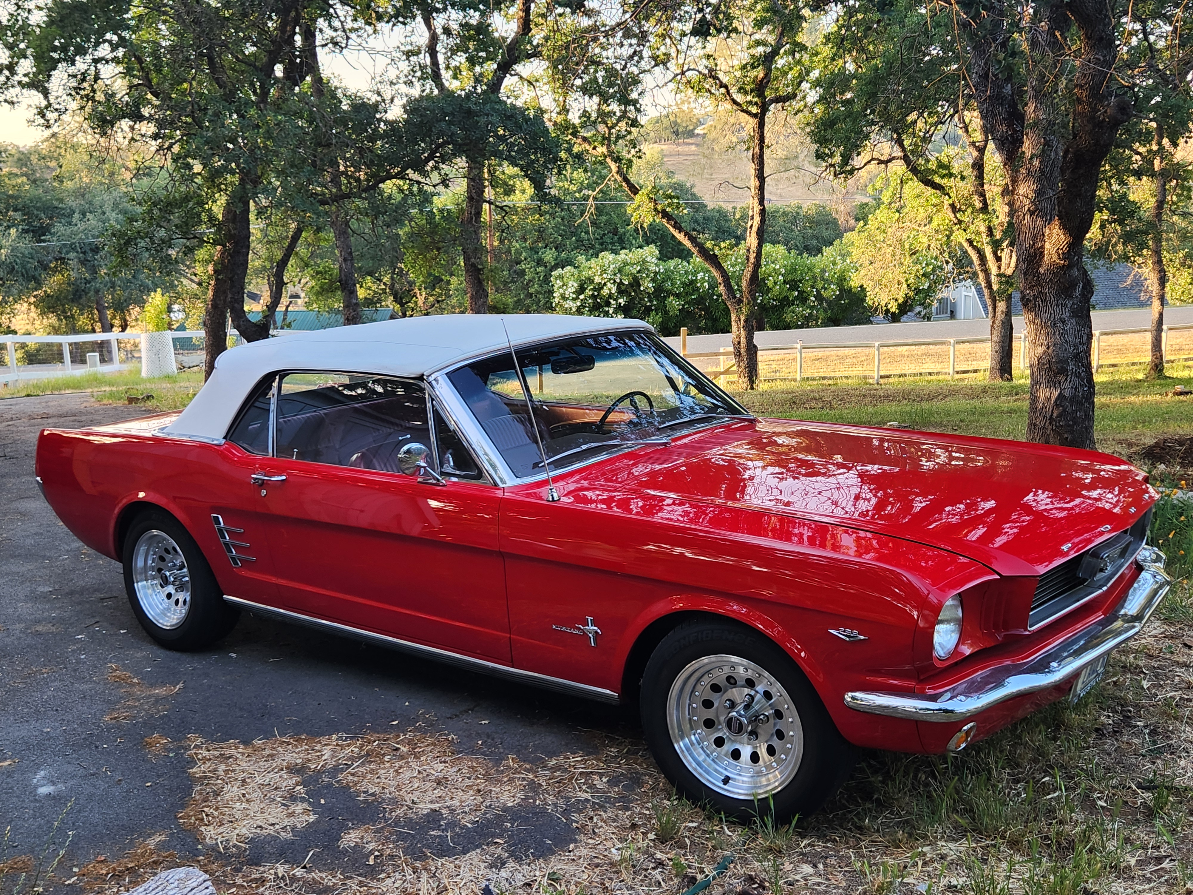 1966 Ford Mustang photo 7